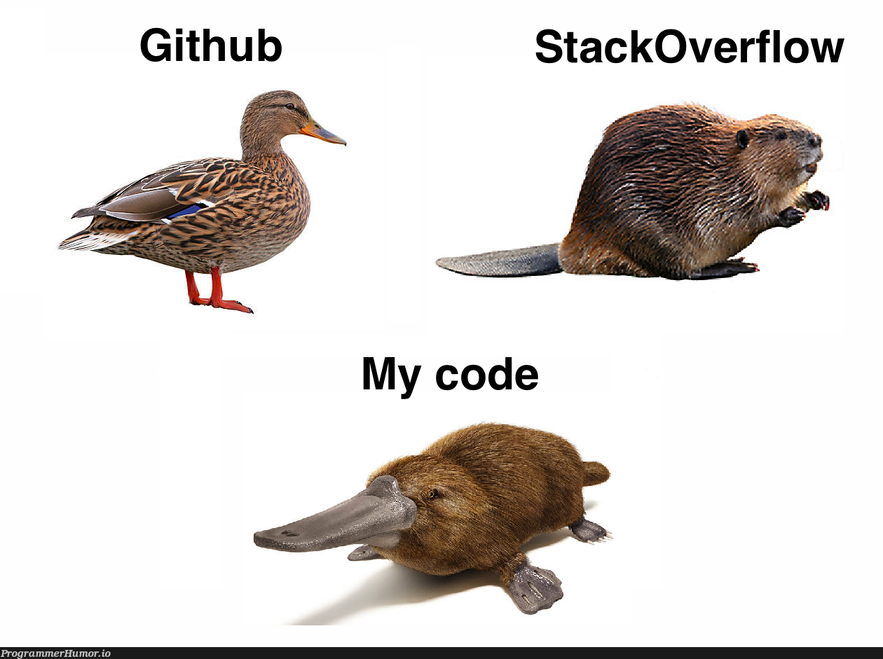 With a small amount of glue | stackoverflow-memes, stack-memes, git-memes, github-memes, overflow-memes | ProgrammerHumor.io