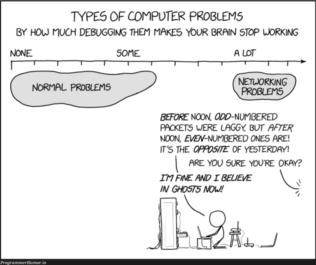 XKCD | computer-memes, debugging-memes, bug-memes, debug-memes, network-memes | ProgrammerHumor.io