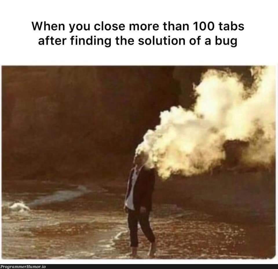 Nothing can match this feeling! | bug-memes, tabs-memes | ProgrammerHumor.io