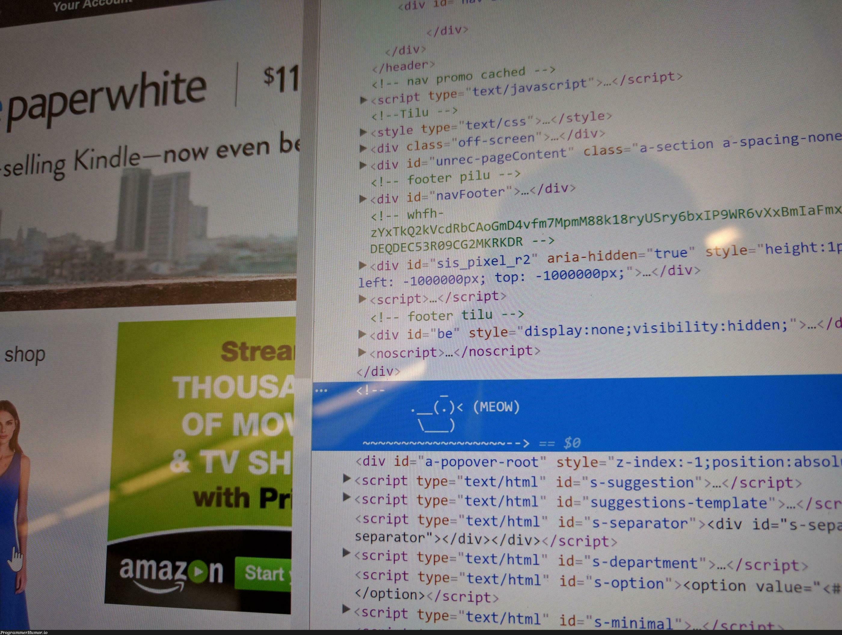 There's a meowing duck in Amazon's html code. (x-post from /r/hacking) | html-memes, code-memes, hacking-memes, amazon-memes, ML-memes, div-memes | ProgrammerHumor.io