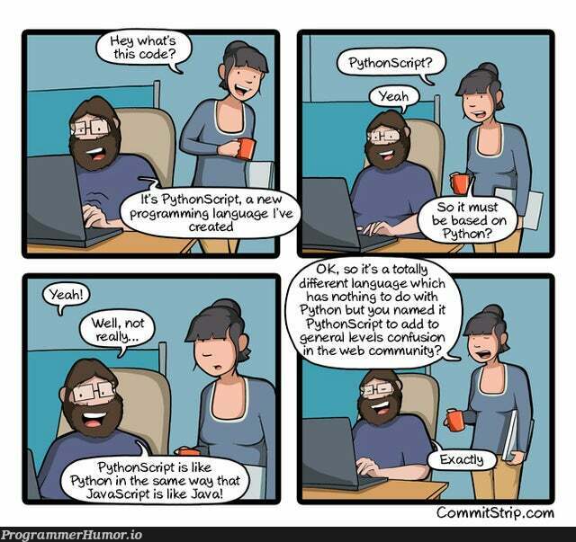 PythonScript comic strip | javascript-memes, java-memes, python-memes, IT-memes, language-memes | ProgrammerHumor.io