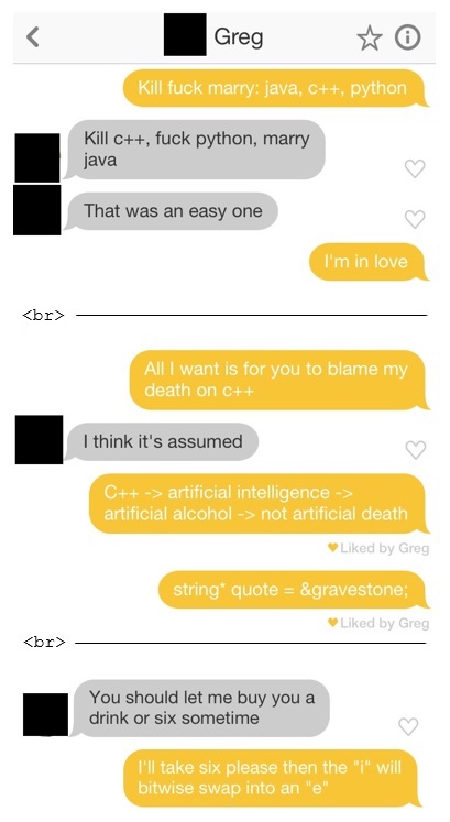 Two programmers chat on a dating app (highlights only) | programmer-memes, java-memes, python-memes, program-memes, c++-memes | ProgrammerHumor.io