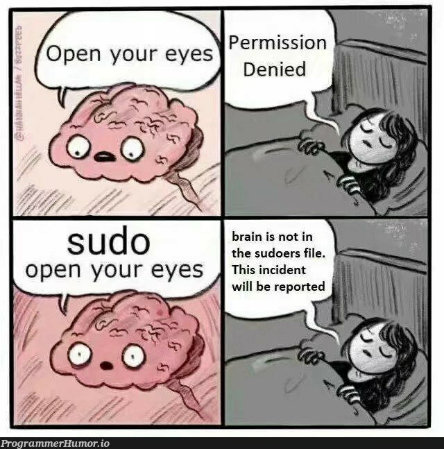 Sudo live life | sudo-memes, ide-memes | ProgrammerHumor.io