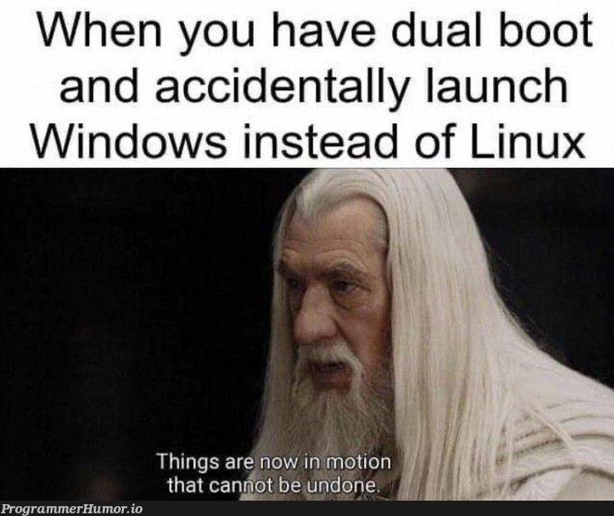 Just dual boot problems | linux-memes, ux-memes, windows-memes, ide-memes | ProgrammerHumor.io