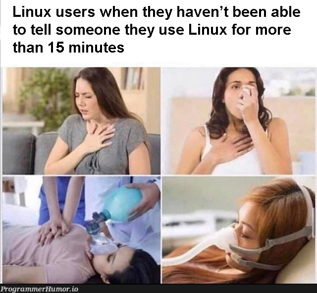 Btw I use arch | linux-memes, ux-memes | ProgrammerHumor.io