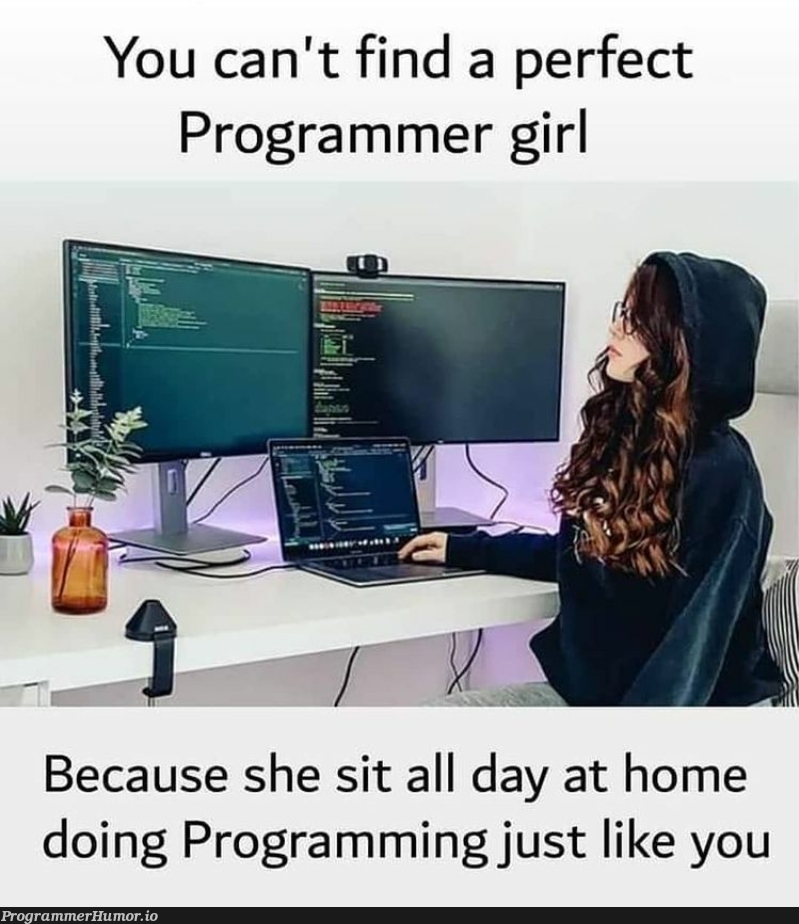 Ah... I should stop searching... | programming-memes, programmer-memes, program-memes, search-memes | ProgrammerHumor.io