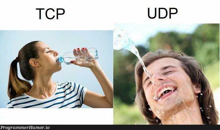 TCP vs UPD | tcp-memes | ProgrammerHumor.io