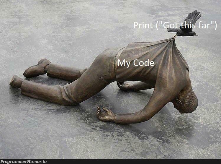 Print ("got this far") | ProgrammerHumor.io