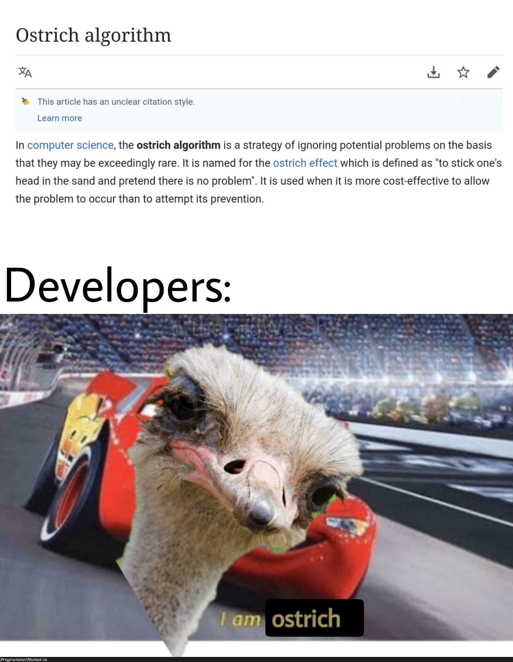 As a UI/UX developer, I am ostrich too | developer-memes, computer-memes, computer science-memes, ux-memes, algorithm-memes, IT-memes | ProgrammerHumor.io