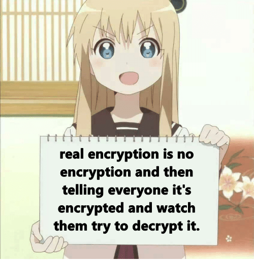 Encrypted data | try-memes, data-memes, encryption-memes | ProgrammerHumor.io