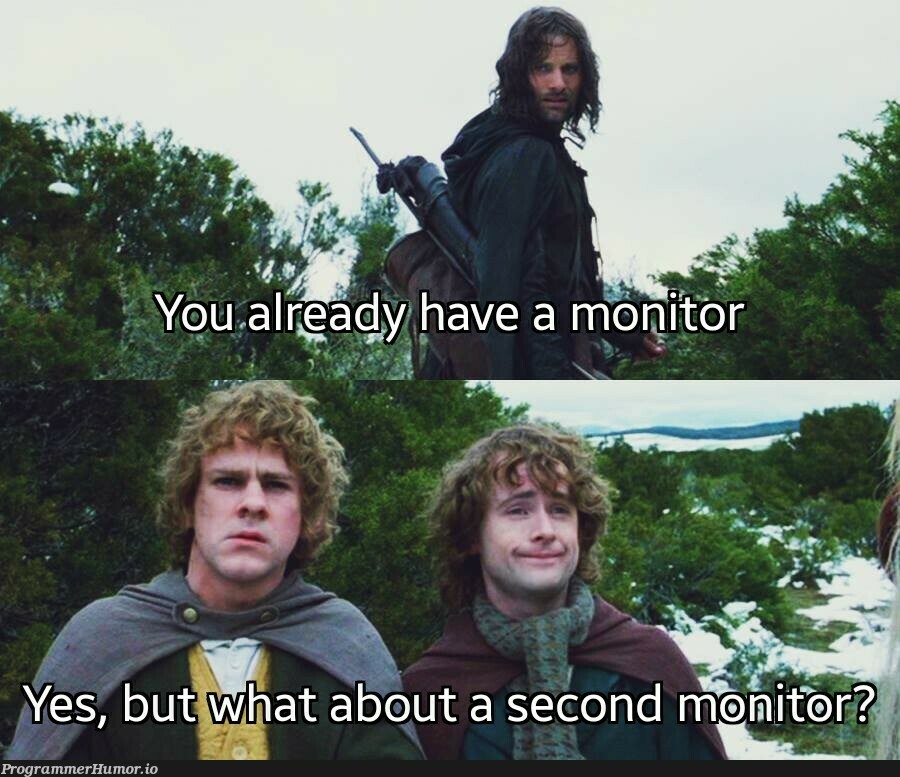 * Asking my manager for a monitor * | monitor-memes, manager-memes | ProgrammerHumor.io