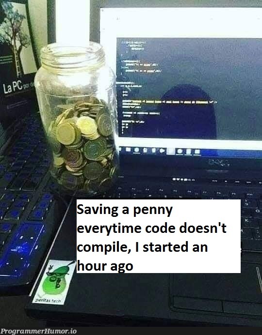 I'll finally be able to afford vacations | code-memes | ProgrammerHumor.io