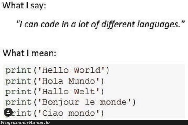 What I say | code-memes, language-memes | ProgrammerHumor.io