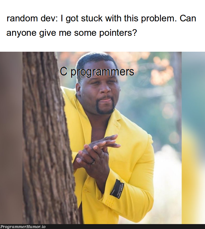 Pointers gang ftw | random-memes, pointers-memes | ProgrammerHumor.io