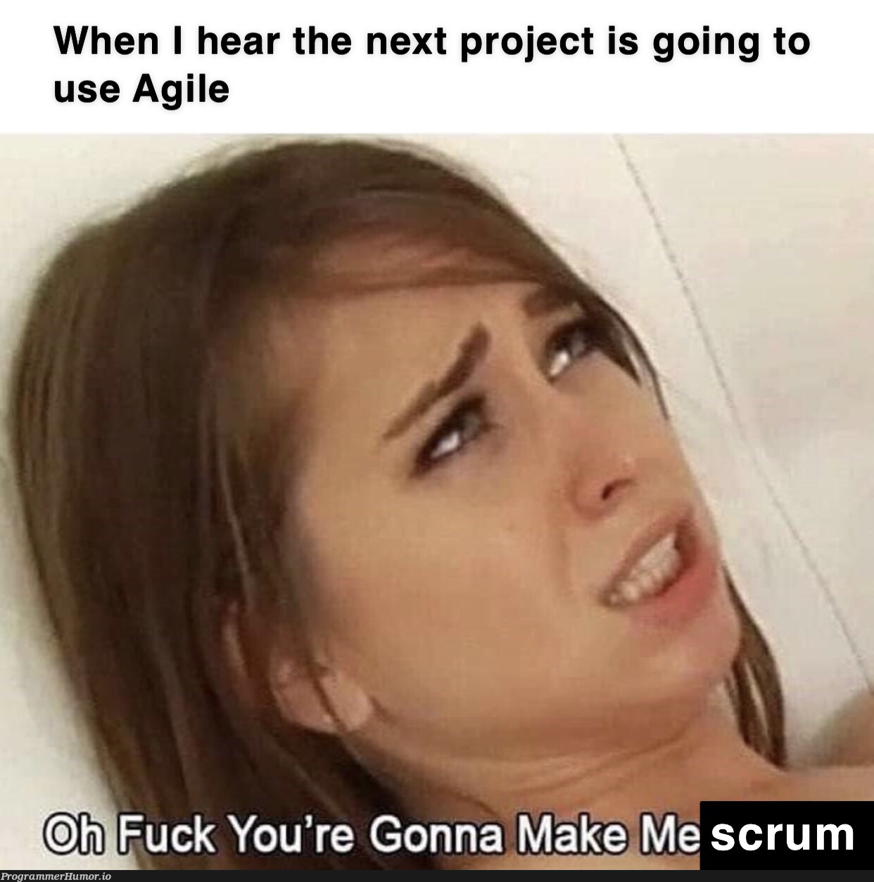 Not Safe For (Agile) Work(stream Integration) | stream-memes | ProgrammerHumor.io