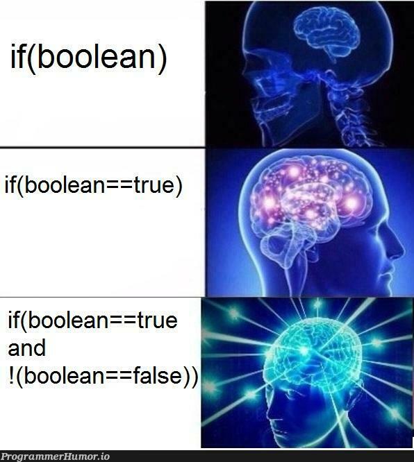 booleans are hard | ProgrammerHumor.io