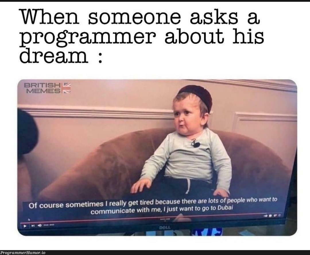 Programmer dream. | programmer-memes, program-memes | ProgrammerHumor.io