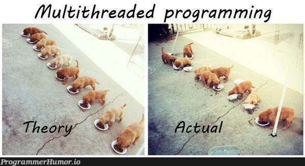 Multithreading in a nutshell! | programming-memes, program-memes, threading-memes, multithreading-memes, shell-memes | ProgrammerHumor.io