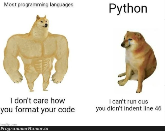 No offence Python... From one python lover to others... | programming-memes, code-memes, python-memes, program-memes, language-memes, programming language-memes | ProgrammerHumor.io