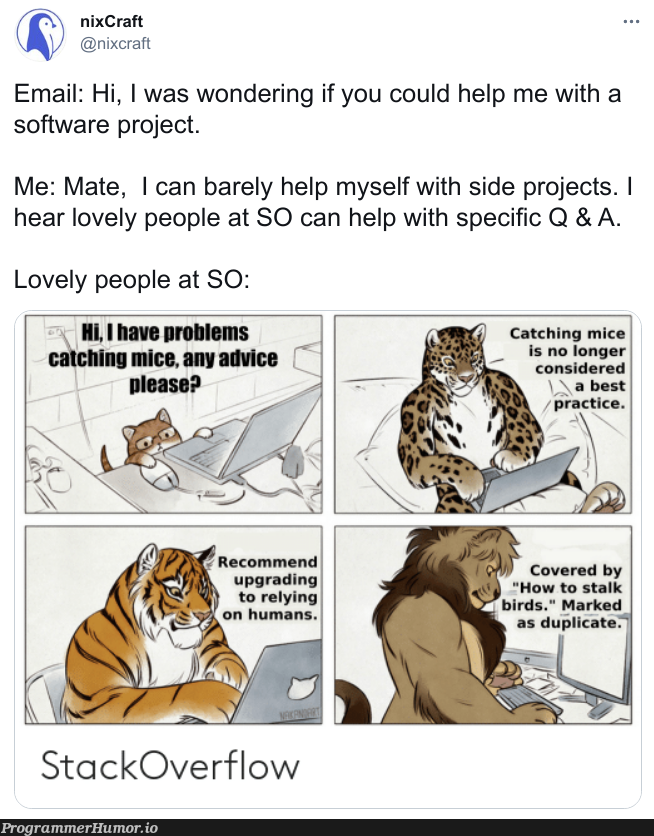 Getting help with a software project | software-memes, stackoverflow-memes, stack-memes, catch-memes, email-memes, overflow-memes, ide-memes | ProgrammerHumor.io