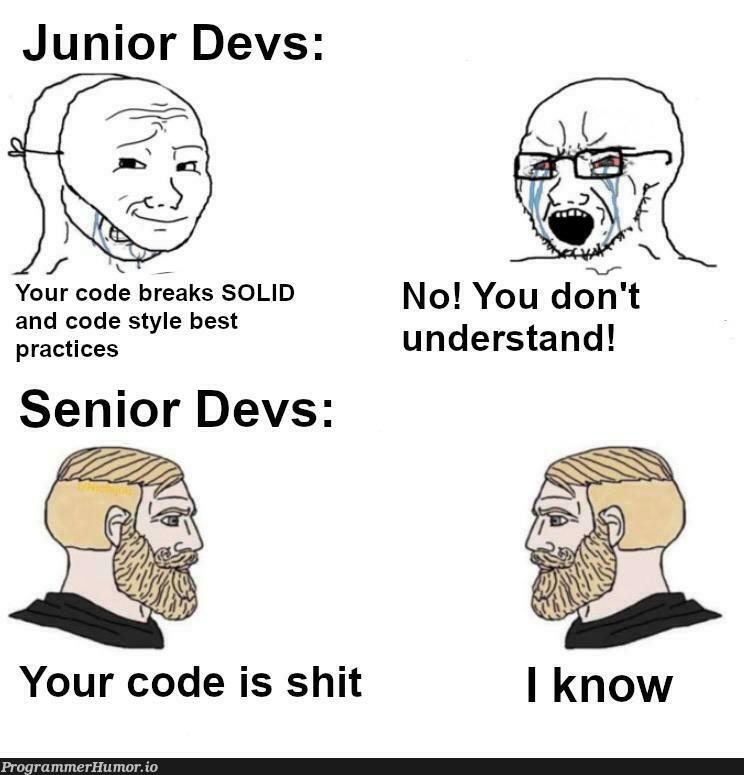 Senior Devs | code-memes, devs-memes, c-memes | ProgrammerHumor.io