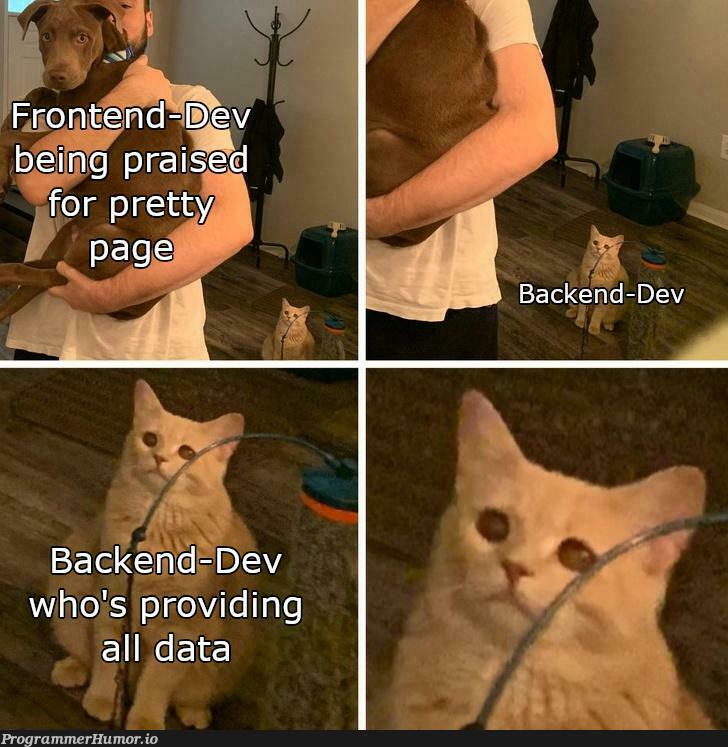 "Oh wow, this page looks really good and shows our data so well" | backend-memes, data-memes | ProgrammerHumor.io