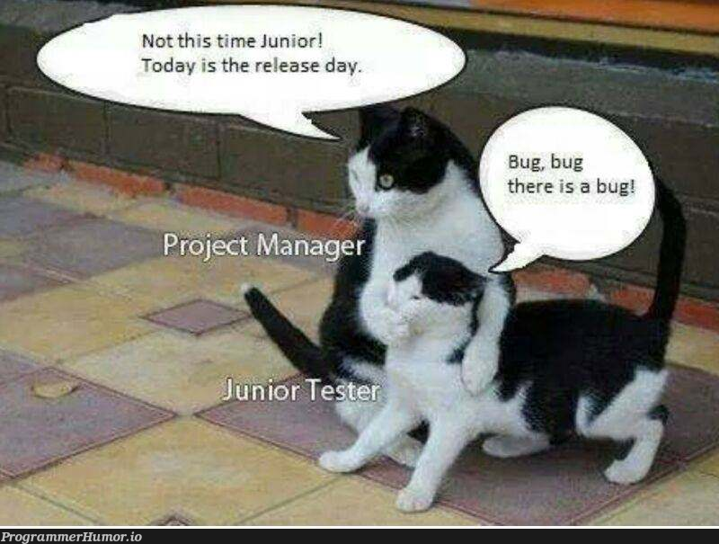 Not today junior.. not today... | bug-memes, release-memes, manager-memes | ProgrammerHumor.io