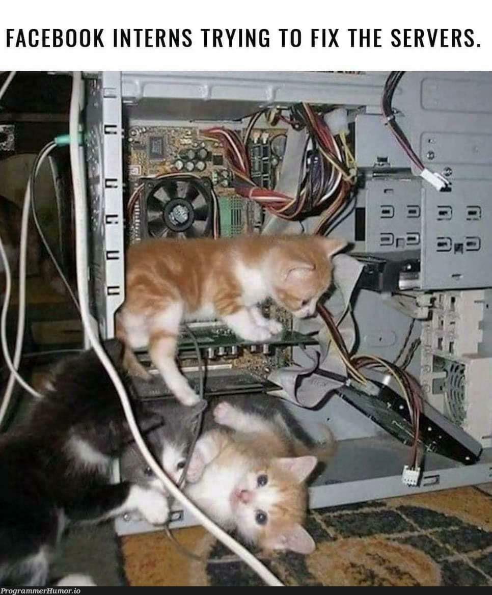 Meow support. | server-memes, try-memes, facebook-memes, fix-memes, servers-memes | ProgrammerHumor.io