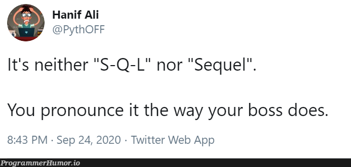 "Squirrel" | web-memes, IT-memes, twitter-memes | ProgrammerHumor.io