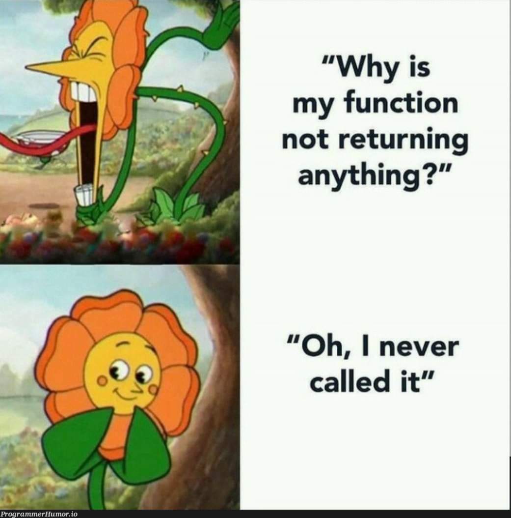 Silly me | function-memes | ProgrammerHumor.io