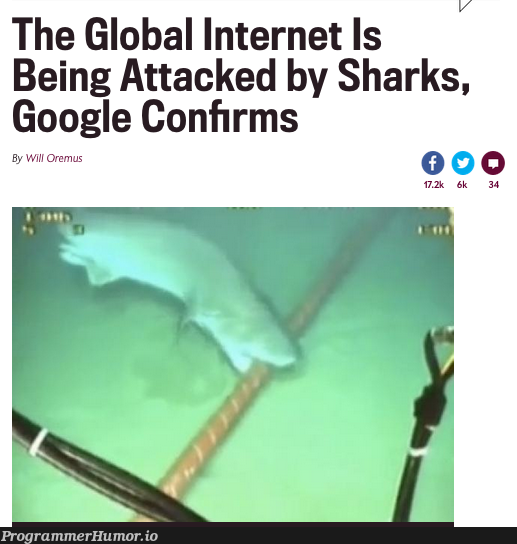 The Wireshark release we didn't want. | google-memes, global-memes, release-memes, internet-memes | ProgrammerHumor.io