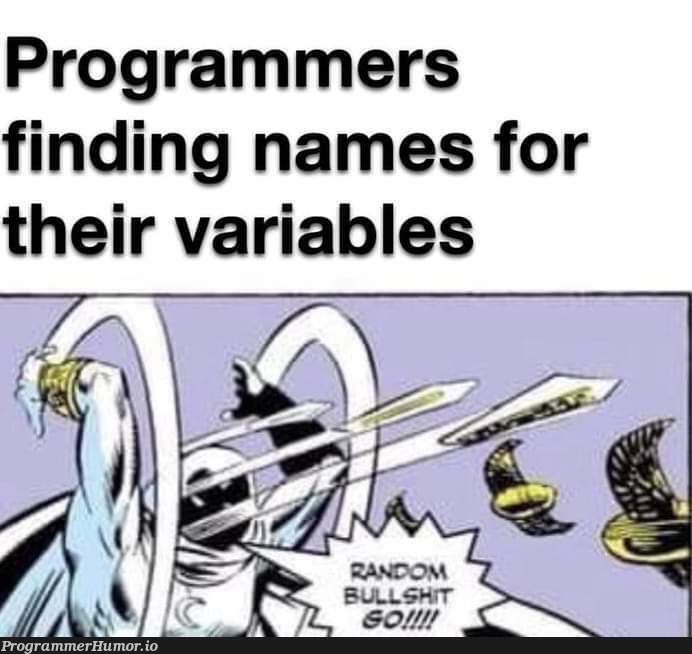 Ah the random BS, yes. | programmer-memes, variables-memes, program-memes, random-memes | ProgrammerHumor.io