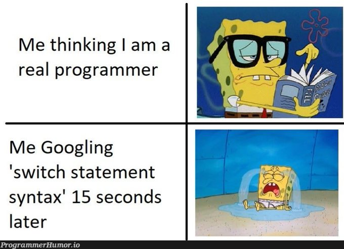 real programmer | programmer-memes, program-memes | ProgrammerHumor.io