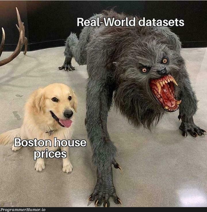 I think I will stick to the house prices datasets | data-memes | ProgrammerHumor.io