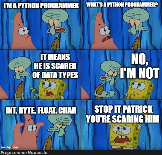 I'm a Python programmer | programmer-memes, python-memes, program-memes | ProgrammerHumor.io