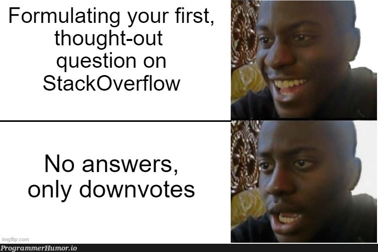 I thought it was a good question! | stackoverflow-memes, stack-memes, overflow-memes, IT-memes | ProgrammerHumor.io