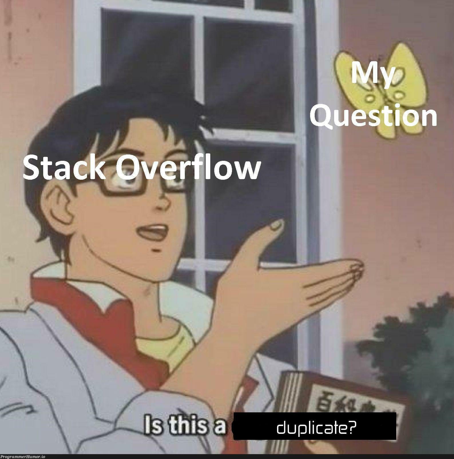 Stack overflow in a nutshell | stack-memes, stack overflow-memes, shell-memes, overflow-memes | ProgrammerHumor.io