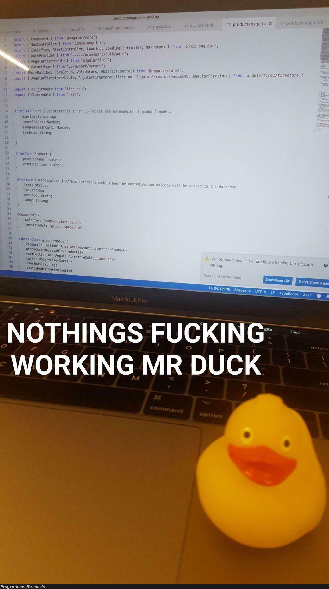 My friends experience with Rubber Duck Debugging | debugging-memes, bug-memes, angular-memes, string-memes, firebase-memes, function-memes, rest-memes, debug-memes, IT-memes, ionic-memes, component-memes, ide-memes, product-memes | ProgrammerHumor.io