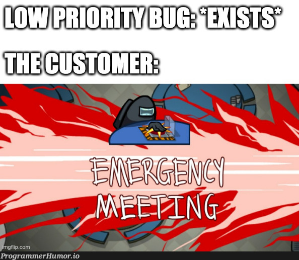 Based on many true stories | bug-memes | ProgrammerHumor.io