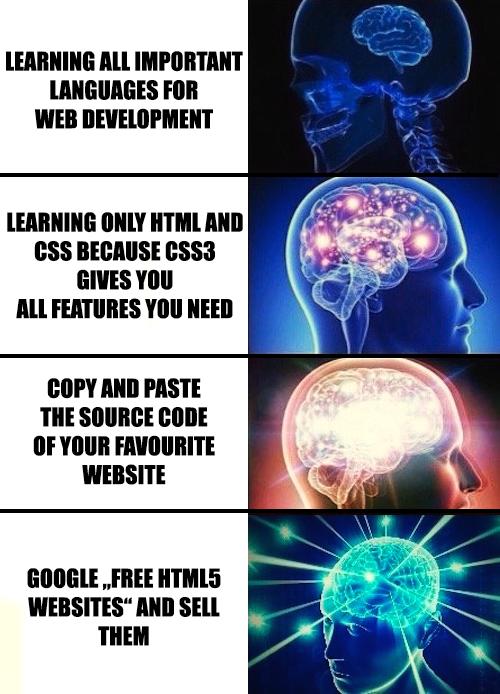 How to be successful as web developer | developer-memes, html-memes, web developer-memes, web development-memes, code-memes, development-memes, web-memes, website-memes, google-memes, ML-memes, source code-memes, language-memes, feature-memes | ProgrammerHumor.io