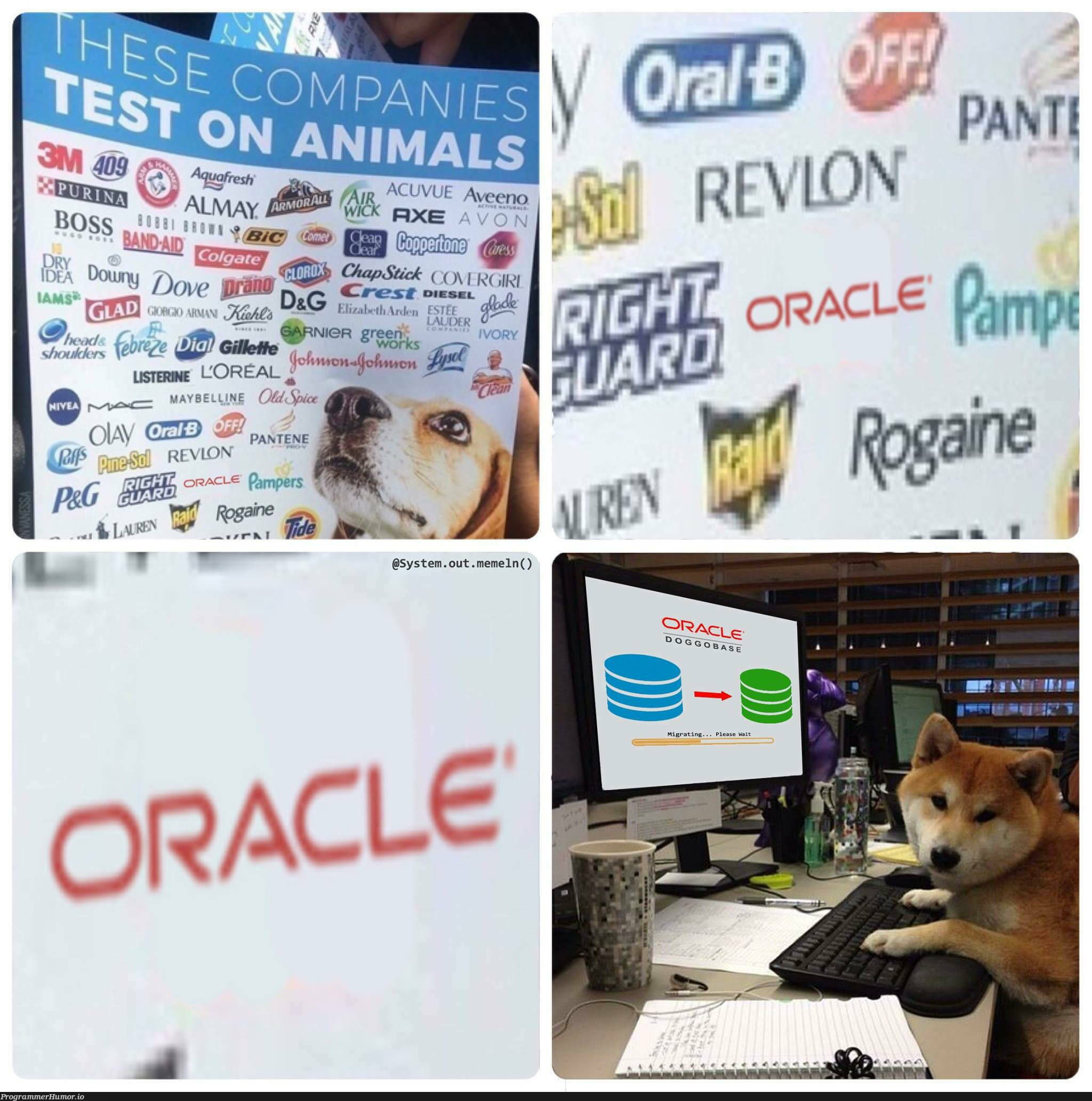 Didn’t think Oracle was that bad | oracle-memes, list-memes, vue-memes | ProgrammerHumor.io