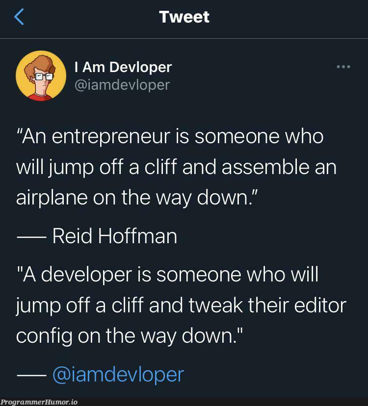 Jumping from a cliff : entrepreneur vs developer | developer-memes, cli-memes | ProgrammerHumor.io