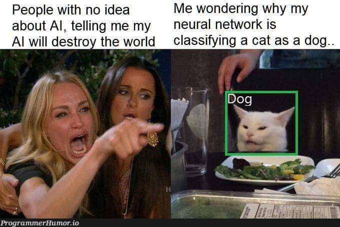 My classifier would be the end of humanity. | class-memes, network-memes, idea-memes, ide-memes, neural network-memes | ProgrammerHumor.io