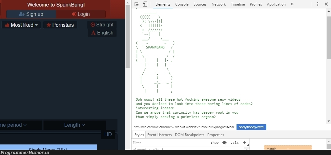 Porn sites don't like when you get distracted. | ProgrammerHumor.io