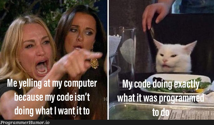 Beginner or not, this happens a lot | ProgrammerHumor.io