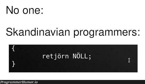 Bjørn the progræmmer | programmer-memes, program-memes | ProgrammerHumor.io