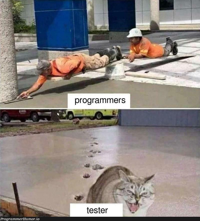 ensuring quality hurts a lot | ProgrammerHumor.io