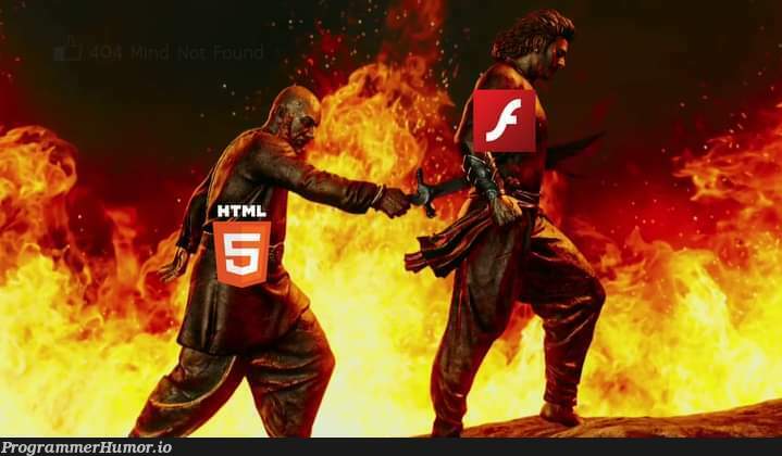 Goodbye flash | ProgrammerHumor.io