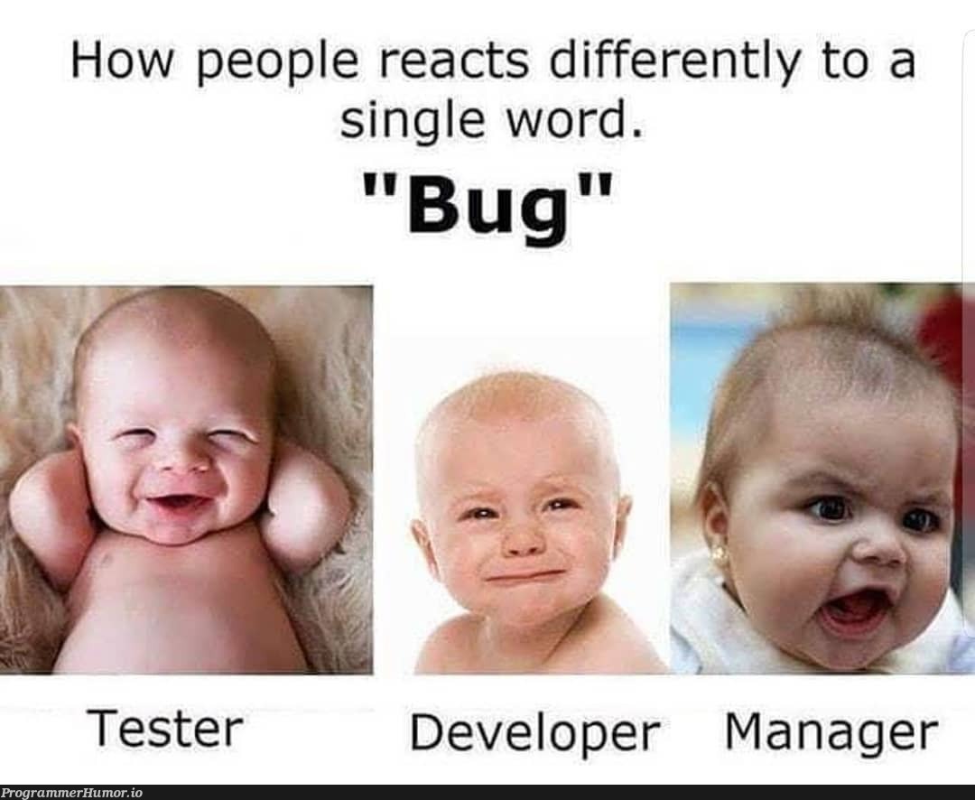 Bug | developer-memes, bug-memes, react-memes, manager-memes | ProgrammerHumor.io