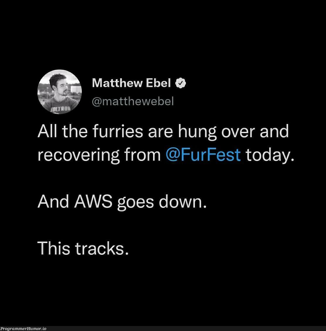 Furries run the internet | web-memes, aws-memes, internet-memes | ProgrammerHumor.io